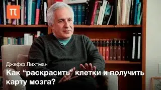 Нейровизуализация и коннектомика - Джефф Лихтман