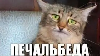 Neverwinter nights. Друид. Эпик фэйл(((