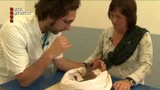 Dierenkliniek: - vr 14 maart 2014, 07:11 uur [RTV Utrecht]