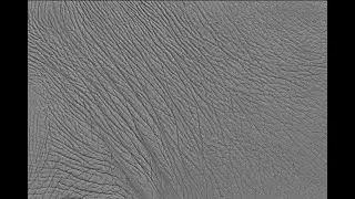 Removing Highlights and Shadows from Images for 3D Texturing (Part 2)