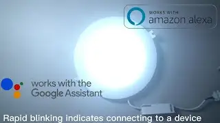 Unboxing Nxled Smart Down Light (ANX-SDL18W) Details and Testing