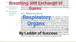 Respiratory Organs / Class 11/ Part -2 / By Ladder of Success 