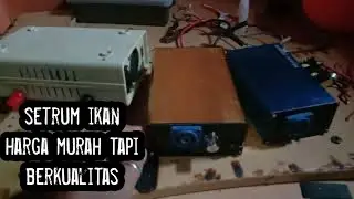 HARGA MURAH TAPI BERKUALITAS COCOK UNTUK DIMILIKI OLEH PARAH PENCINTA SETRUM IKAN