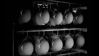 Production of German M40 Stahlhelm steel helmets for the Wehrmacht in Factory 1940 rare WW2 footage