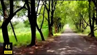 Vanasthali Hills - Secret Location in Hyderabad | 4K Weekend Getaway #Ridabanosworld