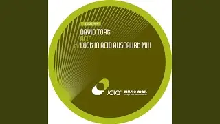 Lost in Acid (Tim Berg's Acidic Remix)