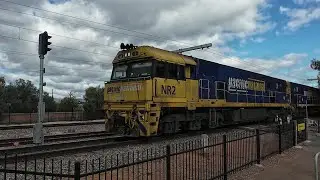 NR2 + NR43 #5MP5