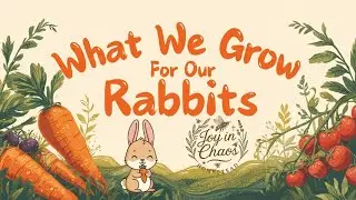 What we Grow for The Rabbits Fall Edition