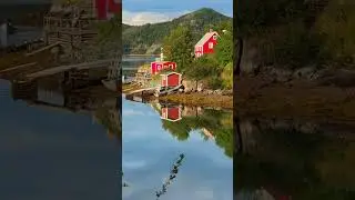 The 