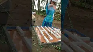 FUN TEAM BUILDING GAME #shorts #fungames #teamwork #outing #teambuilding #outbound #outboundtraining