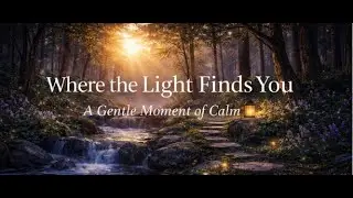 Calm for the Overwhelmed | Where the Light Finds You (1 Hour Gentle Ambient)