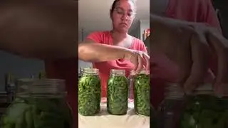 How to Can Green Beans | Step-by-Step Pressure Canning Tutorial for Beginners 🫙