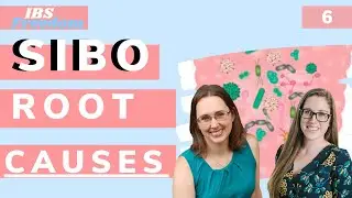 SIBO Root Causes Explained - IBS Freedom Podcast #6 Part 2