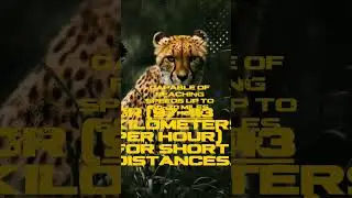 Do you know which is the World's fastest animal⁉️ #cheetah #animal #falcon #fastest #trendingshorts