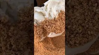 World's most delicious street food