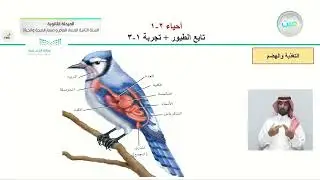 تابع الطيور، وتجربة 1-3 - الأحياء (2-1) - المسار العام والصحة والحياة - السنة الثانية
