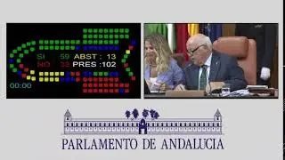 SESIÓN PLENARIA DEL 24 DE JULIO (continuación)