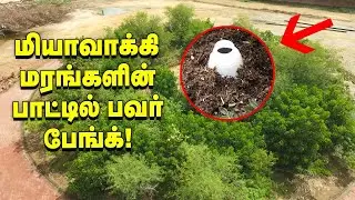 மியாவாக்கி மரங்களின் பாட்டில் பவர் பேங்க் - அசத்தும் தேனி இளைஞர்கள்! #PasumaiVikatan #Miyawaki