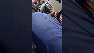 Yankeetown Produces Fish!!!