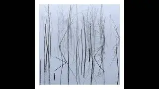 Olhava - Frozen Bloom II