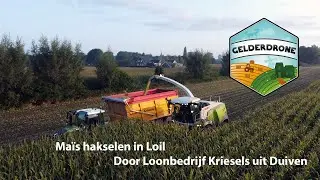 Ma&iuml;sseizoen 2023 | Hakselen in Loil door Loonbedrijf Kriesels uit Duiven