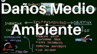 Daños al Medio Ambiente