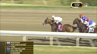 Cyberknife   2022 Haskell Stakes G1