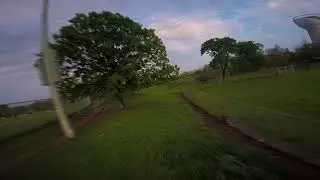 Verbage