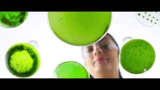 exxon final video