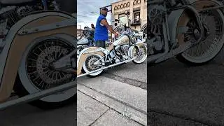 Colorado _ Isaiah Vialpando Memorial Vicla Run. Owner Roger www.LaViclaVida.com&nbsp;#viclas #laviclavida