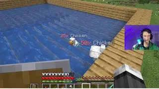 Getting More Chickens Than Ryan3000 (Day 22)
