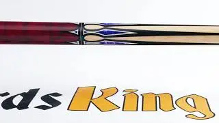 Rage RG202 Pool Stick - Cue View 360 - 4K Ultra HD Rotating 360 Degree Pan & Zoom