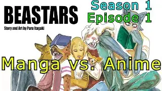 Every Difference in Episode 1 of Beastars. Manga vs. Anime (Season 1)