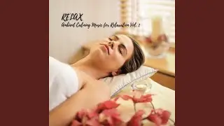 Relaxing Focus Music