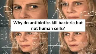 BIO110 microbes, pathogens, antibiotic resistance
