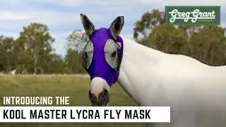 Представляем маску от мух Kool Master Lycra Fly Mask &mdash; Greg Grant Saddlery
