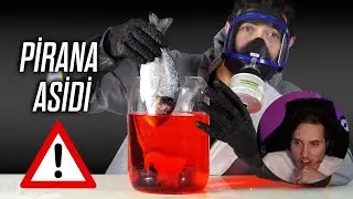 RRaenee Herşeyi Buharlaştıran Parana Asidi İzliyor AsitmenTR