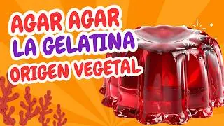 AGAR AGAR: El Secreto Natural para Postres Veganos y Ciencia en Casa 🍮🔬✨