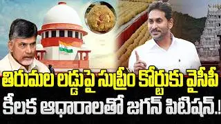 YCP Move to Court on TDP Fake Allegations on Tirumala Laddu Issue | YS Jagan | YT18 News