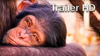 Наш живой мир / Our Living World (2024) - HD Трейлер на русском (Субтитры)