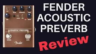 Обзор Fender Preverb — предусилитель и педаль реверберации