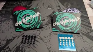 New skate competition? | Owepowe Eagle Mouse skates Unboxing/First Impressions
