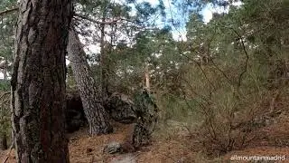 Talus Singletrack