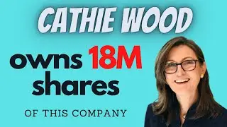 Cathie Wood owns 18 Million Shares of this Company | DraftKings Inc (DKNG) Stock Forecast 2022