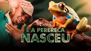 E A PERERECA NASCEU - MC K.K , MC BURAGA , JC NO BEAT , DJ DUARTE