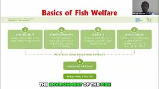 5 Fish Welfare Domains