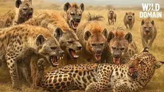 HY&Egrave;NES | Les Pr&eacute;dateurs Les Plus Cruels De La Savane Africaine &ndash; Documentaire Animalier