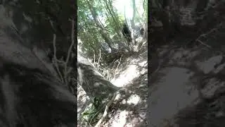 Speedsofters tries milsim and fail