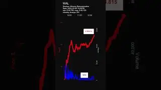 WAL, Western Alliance Bancorporation, day gainers, stock prices dynamics, stock of the day