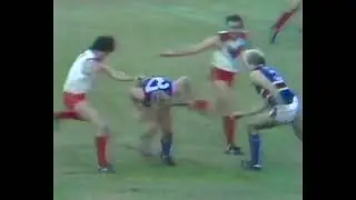 FWNB.com.au - Bruce Reid - Round 17, 1982 vs Sydney